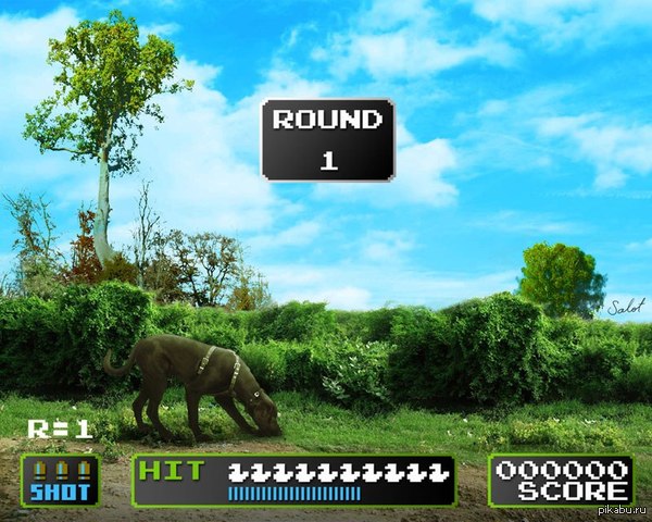 Duck Hunt 3D   Nintendo wii U.)