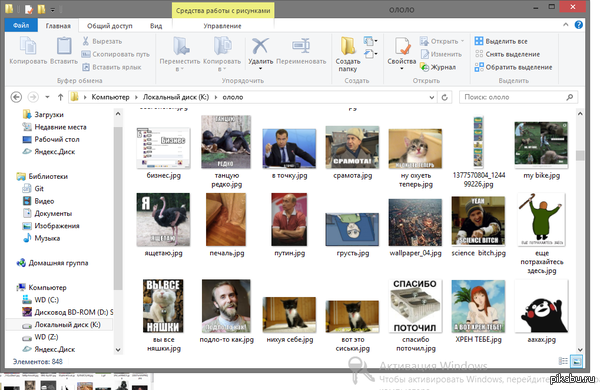 ����� ��������-�������