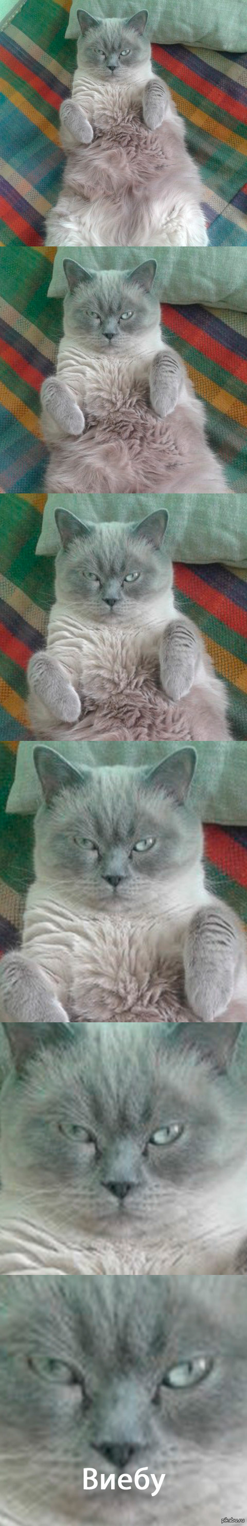 �� �����.