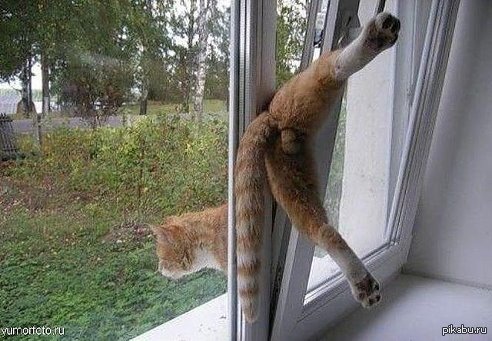 Вот что значит, привык к советским квадратным форточкам)