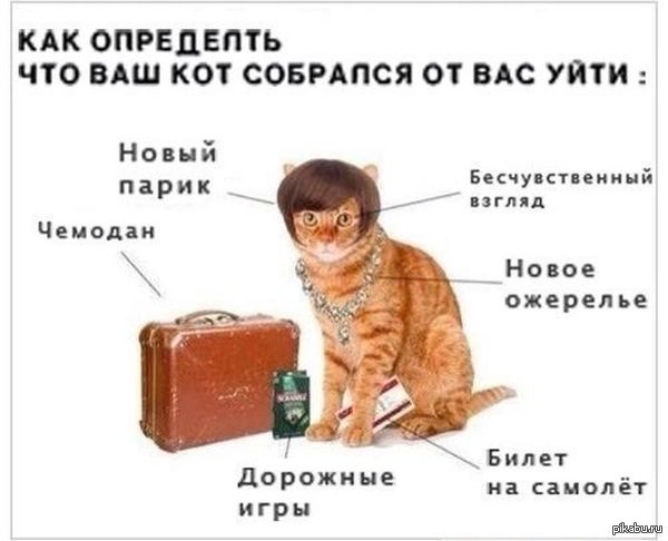   ,      ! 