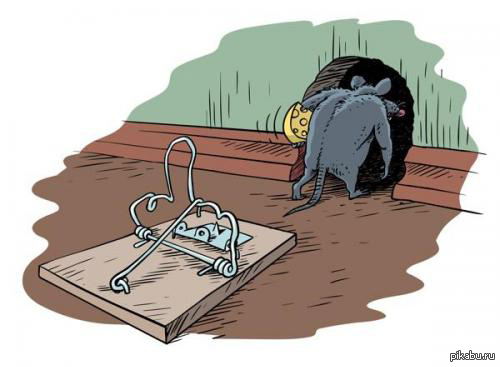  ... Mr. mouse