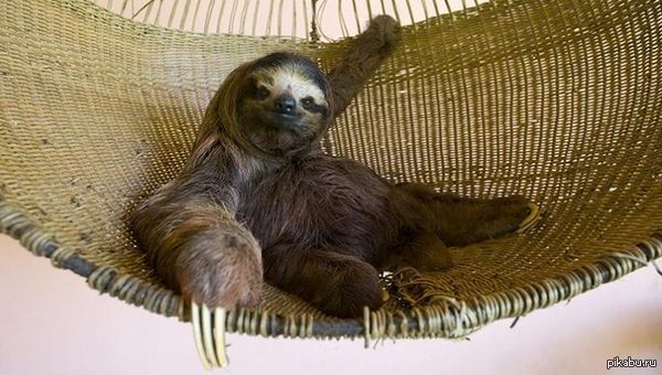 ����� ���� �� ������� �����