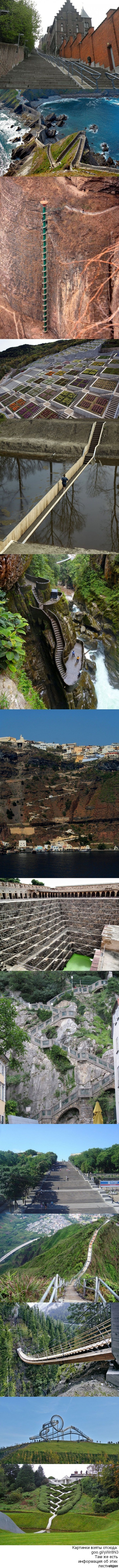 ����� �������� ��������