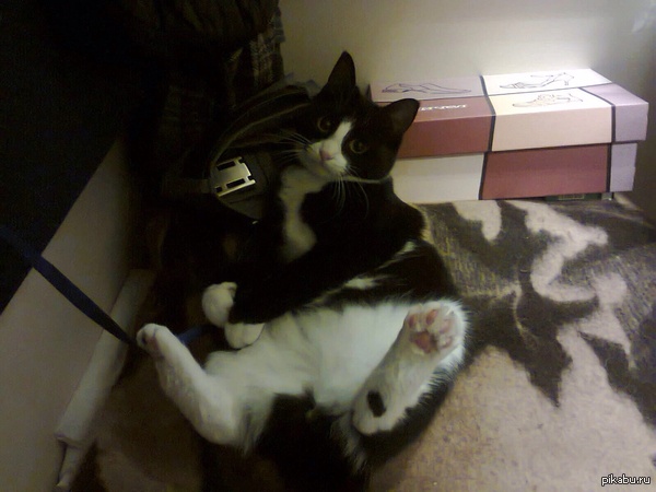 ������ �������!