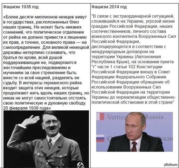 чем же они похожи?