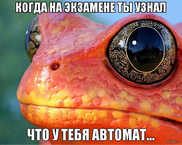 чрезмерное удивление | Пикабу