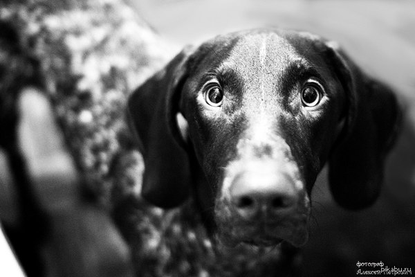 �������� ����