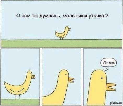 чего ты хочешь маленькая уточка. 1394038309 1003969780. чего ты хочешь маленькая уточка фото. чего ты хочешь маленькая уточка-1394038309 1003969780. картинка чего ты хочешь маленькая уточка. картинка 1394038309 1003969780. Анна Лубнина Сказка для детей «Маленькая уточка» для детей старшего дошкольного и младшего школьного возраста
