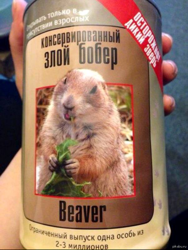 � ���� , ��� �� �������� �� ���� �����.