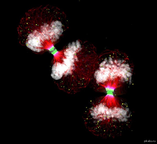 Страшная красота.