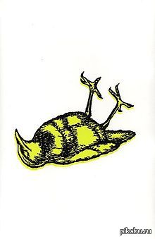 ��������� ���� �_�