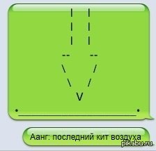 Aang: the last whale air