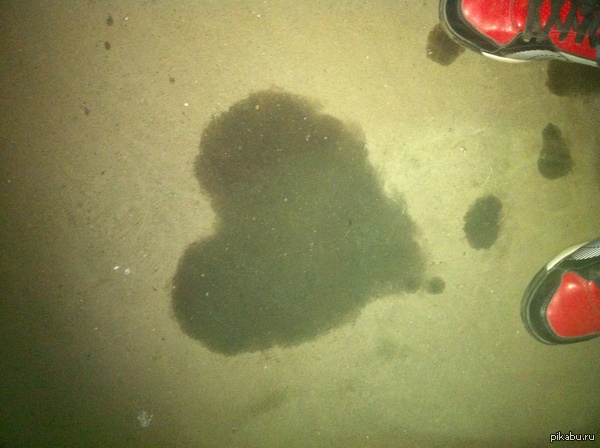 Асфальт влюблён | Пикабу