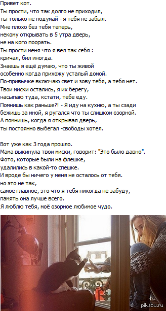 ,   -  ,    :(      ,   .   8 ...