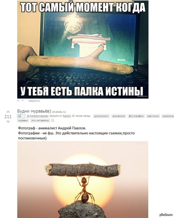 �������� ����������.