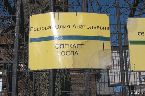 Доброта | Пикабу