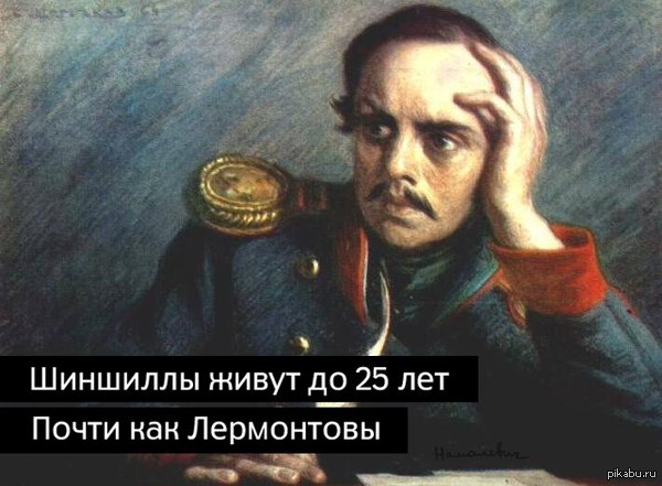 �� �� ��� ����������...