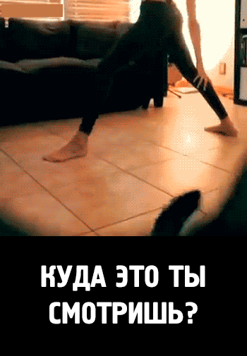 Гифки 18 приколы