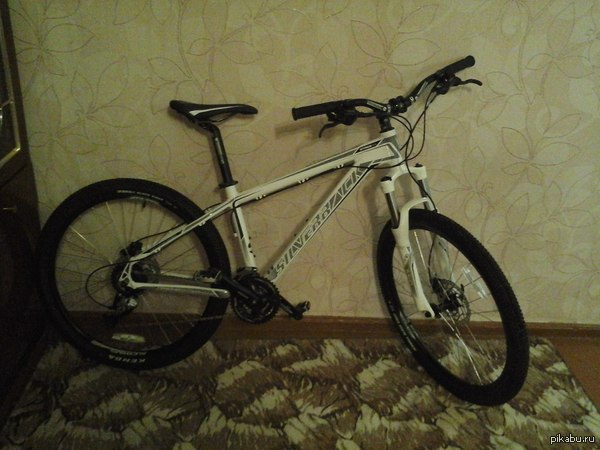 I bought this handsome man, I'm waiting for everything to dry: 3 Are there still lovers in Saratov?) - My, A bike, Purchase