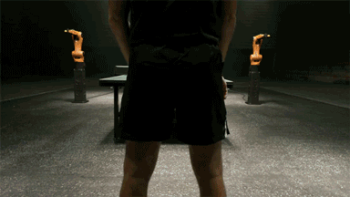 Skinning Machine Gif