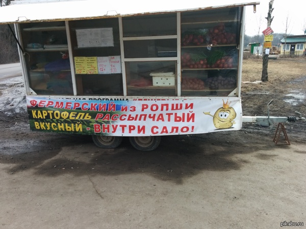 ��� ������ ����