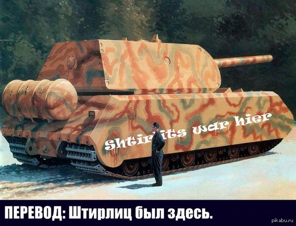  (2) Maus vs 