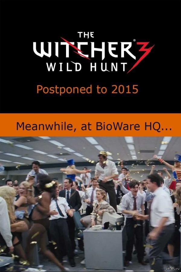 The Witcher 3: Wild Hunt    2015 .     BioWare.