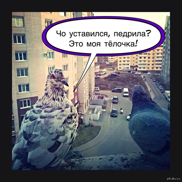 �� �������� �� ��� ����...