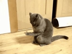          :D 