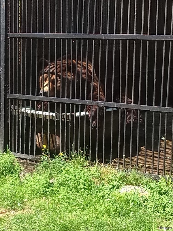 ������ ������� ������� �������� � ������