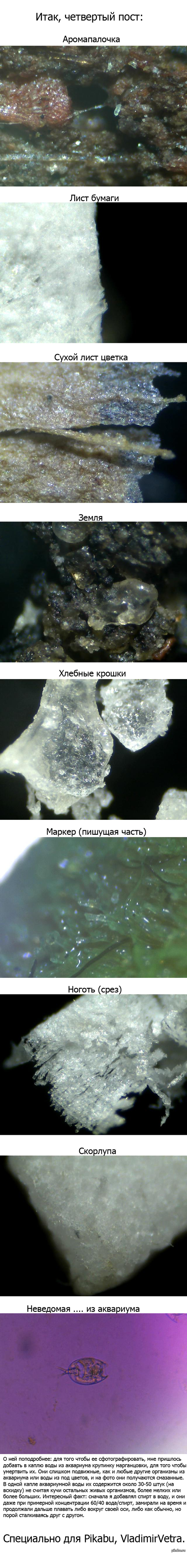 ���� ����������� 4.