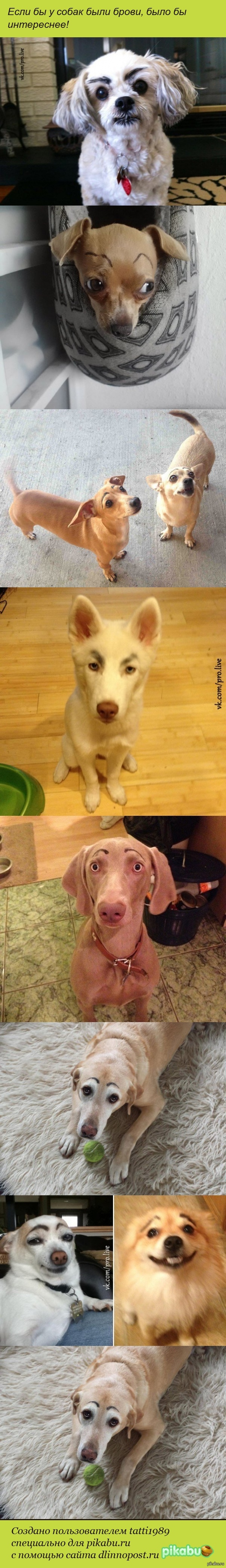 ������� �� ������������� ������� ����� �������!