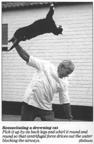 ���������� "��� ������, ���� ��� �����������". ������ � ��� ���������� ���-�� �������...