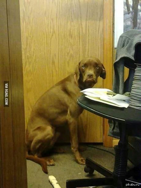 Когда пришел к первой паре