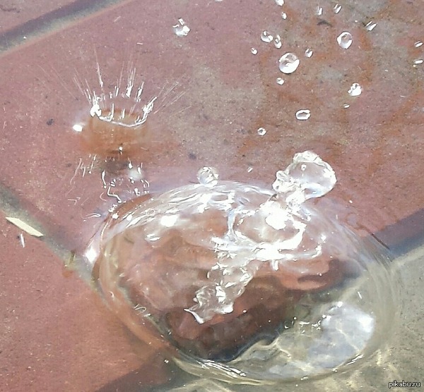 ���� �� ����