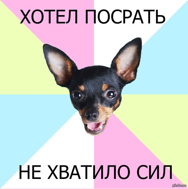 Красивые пикабу