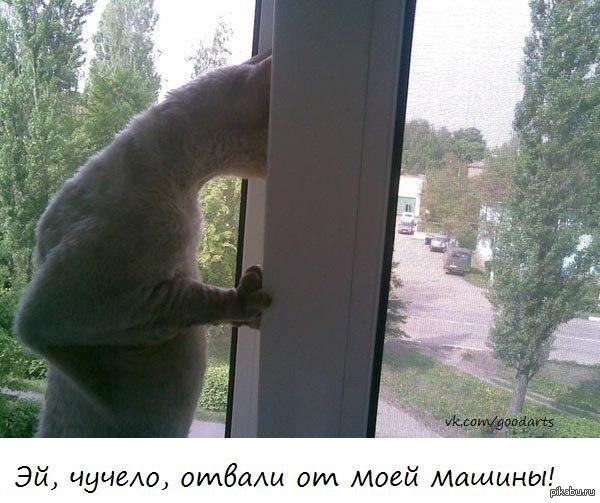 Улыбнуло) | Пикабу