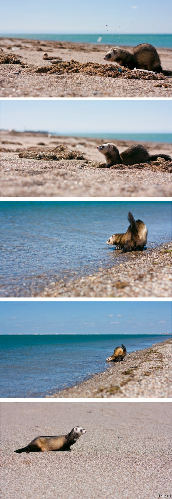 ����� � ���� :)