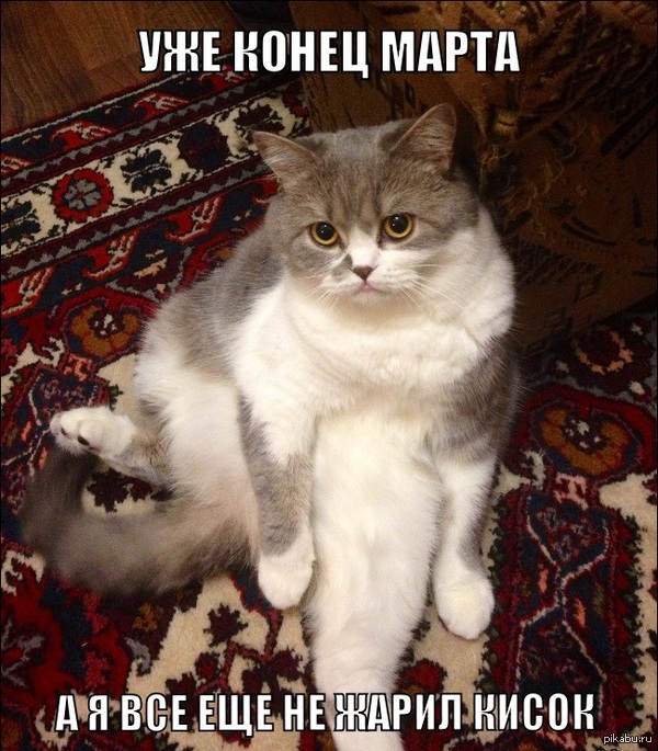 Зима, хватит! Не расстраивай мартовских котов :(