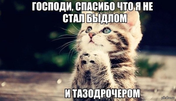 ,    