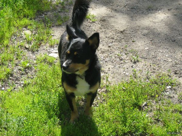 �� , �� � ��, ��� ��� ��� � �)