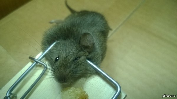 ������� ����� ����� � �����