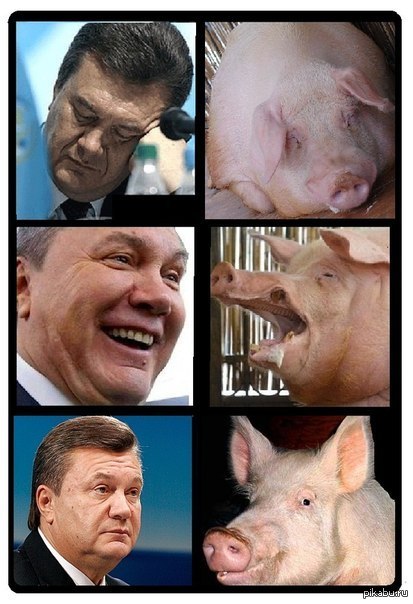 Легитимная власть