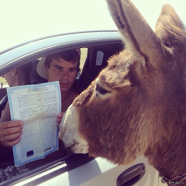 гайцы придолбались