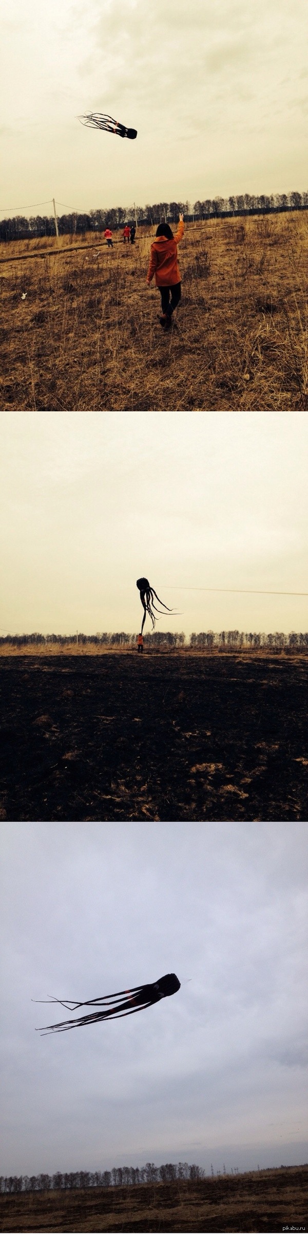 ������ ��������� ����. � ��������� ���������� ���� "���")