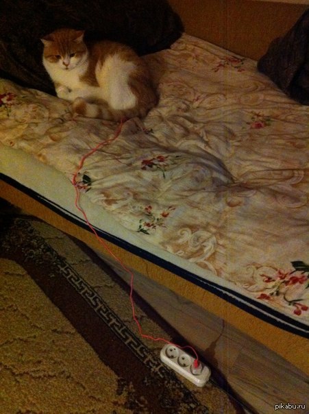 ���� ����� � ������� � �������� ����� � ���� ���������� � �������