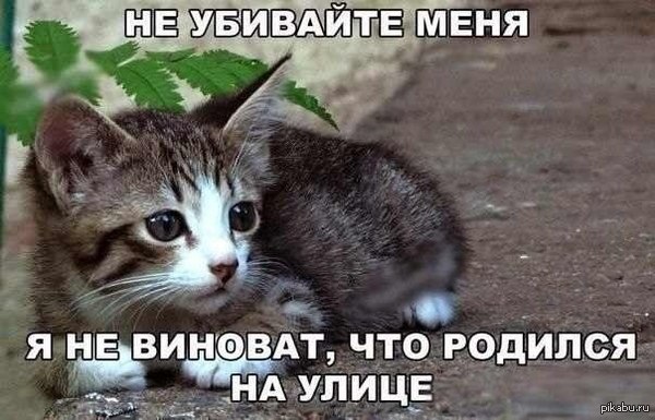 Бедные | Пикабу
