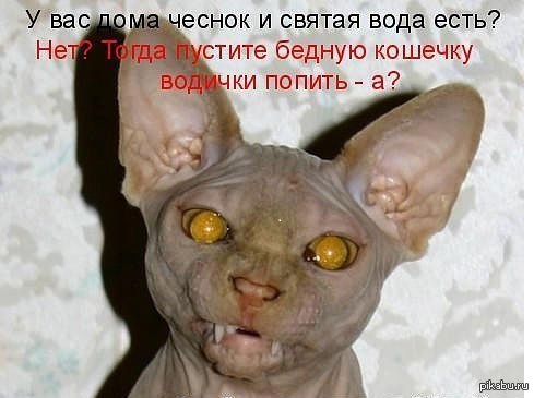 пустите воды попить | Пикабу