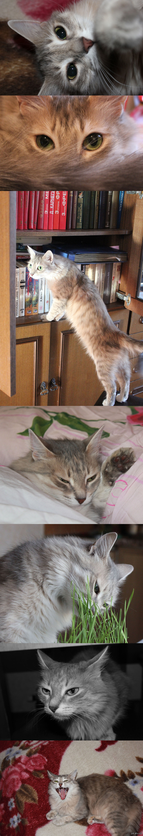       \\&amp;amp;quot; \\&amp;amp;quot;. =)